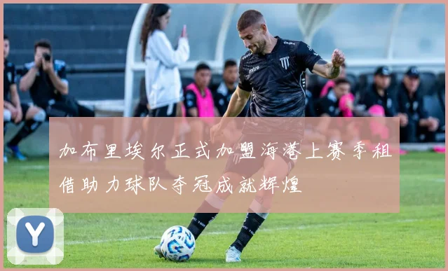加布里埃尔正式加盟海港上赛季租借助力球队夺冠成就辉煌
