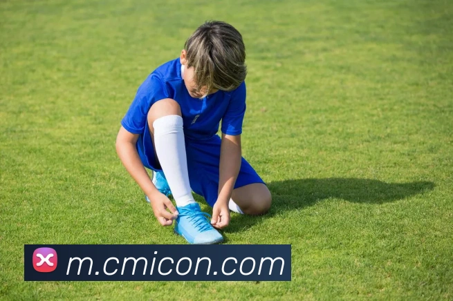 半岛在线注册APP 高清赛事图